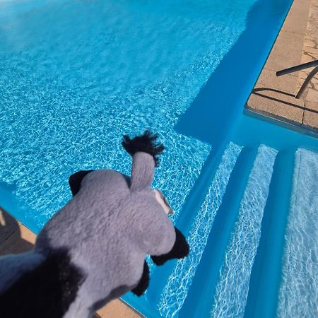 Havre De Paix Appart Climatise,Piscine,Wifi 르발카레스 외부 사진