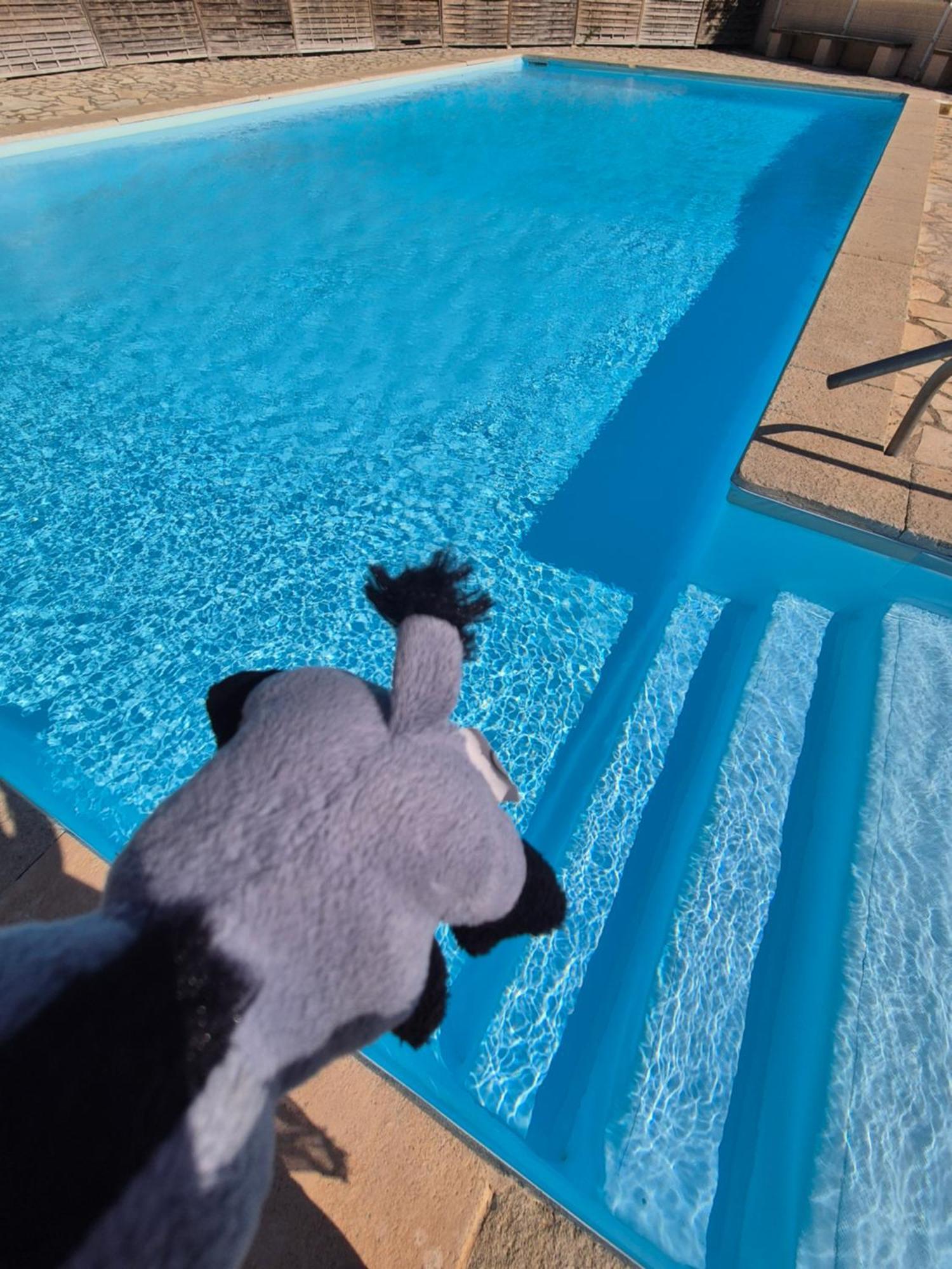 Havre De Paix Appart Climatise,Piscine,Wifi 르발카레스 외부 사진